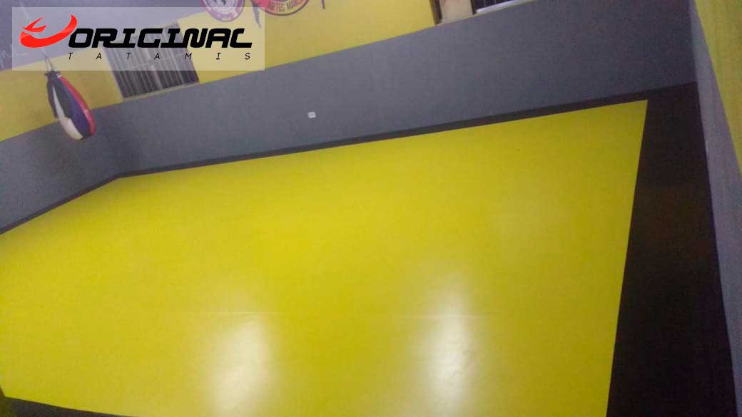 lona_tatame_academia1